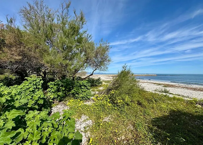 Apartament Vacation *